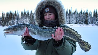 Burbot or Bust  Set Lines on the Frozen River [upl. by Anirahtak]