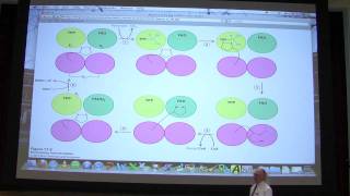 28 Biochemistry Citric Acid Cycle Lecture for Kevin Aherns BB 451551 [upl. by Bullen]