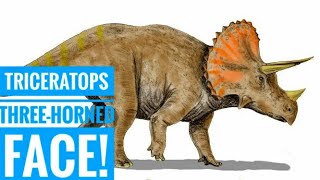 Triceratops  Threehorned face Description [upl. by Karb]