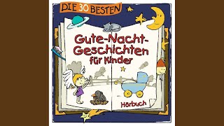 Der kleine Prinz der nicht schlafen wollte  Kapitel 1 [upl. by Home101]