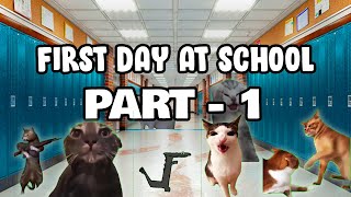 Cat Memes First Day at School Part 1 [upl. by Nedmac71]