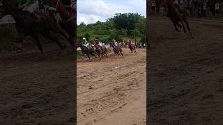 Horse Racing Bukittinggi 2024 Part 12 shorts [upl. by Ayaj49]