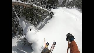 Taking a Run  Powder Keg Snowfields to Brackett Basin  Sugarloaf 2019 [upl. by Troxell]