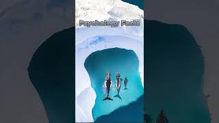 Psychology Facts Crush on You dawn love naturemusicforrelaxationandmeditation [upl. by Amaj571]