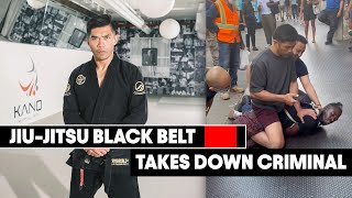 BJJ Black Belt in Street Fight [upl. by Anihs]