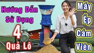 Hướng Dẫn sử Dụng Máy Ép Cám Viên 4 Quả Lô S180 Bình Quân Group [upl. by Mathia]