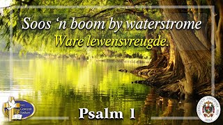 Psalm 1  Soos n boom by waterstrome [upl. by Madelena]