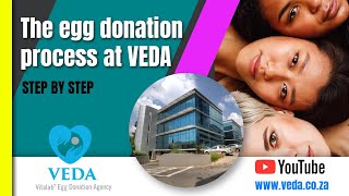 EGG DONATION AGENCY PROCESS  VEDA  VITALAB [upl. by Coonan]