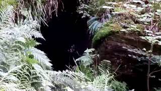 The Auchinleck Ice House Dippol Burn East Ayrshire [upl. by Nohtiek]