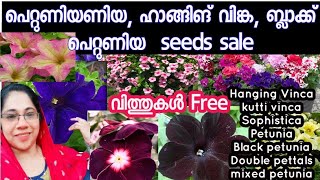 200 വിത്തുകൾ 75₹ഹാങ്ങിങ് വിങ്കപെറ്റൂണിയ പലതരം വിത്തുകൾ ഒന്നിച്ചു വാങ്ങാംseeds saleJasmins world [upl. by Enilhtak]