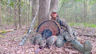 TURKEY SEASON 2023 GOBBLER DOWN  South Carolina Turkey Hunting [upl. by Athalie429]