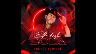 Ella Baila Sola  Andrés Yudiche Video Oficial [upl. by Yenot]