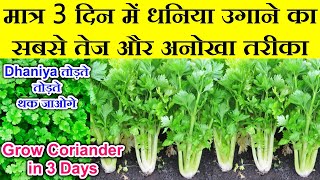 सिर्फ 3 दिन मे धनिया उगाने का बिल्कुल नया तरीका3 din me dhaniya kaise ugayeGrow Coriander in 3 day [upl. by Lissie]