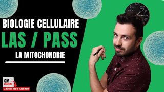 La MITOCHONDRIE  🧫 Ne tarrache plus les CHEVEUX avec ce cours  Je te donne lessentiel [upl. by Akimrehs]