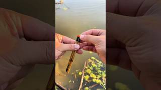 Tiny fishingfishing with the mini rod for micro fish I am the awesome one😋microfishing pescador [upl. by Nalek393]