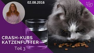 Katzenfutter🐱 Krank gefüttert  Wie gesund ist Dein Katzenfutter [upl. by Ennahs]