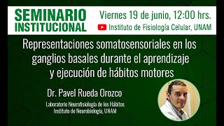 Representaciones somatosensoriales en los ganglios basales [upl. by Vergos]