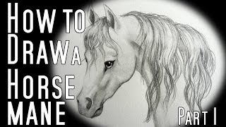 How to draw a Horse Mane [upl. by Nauqat]