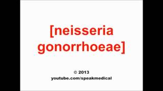 Pronounce Neisseria gonorrhoeae  SpeakMedical [upl. by Ericka]