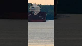 MAITLAND CANADA ship wow epic waves containership oiltanker bulkcarriercargoship StLawrence [upl. by Aihsatan]