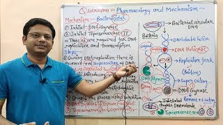 Chemotherapy of Antibiotics Part14 Quinolones Introduction amp Mechanism of Action  Antibiotics [upl. by Eric]