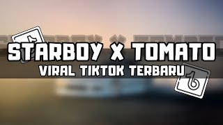 DJ STARBOY X TOMATO VIRAL TIKTOK TERBARU 2023 [upl. by Ynogoham]