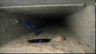 Amistee Duct Cleaning Video [upl. by Morrill]