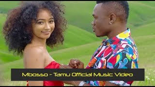 Mbosso  Tamu Official Music Video REVIEW [upl. by Aihsat]