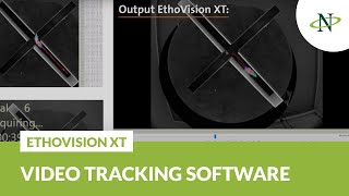 EthoVision XT The video tracking software  Product Tour [upl. by Alliehs]