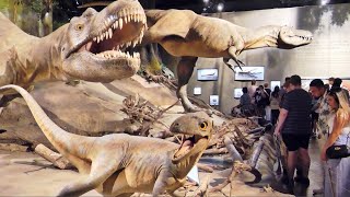 Drumheller Royal Tyrrell Museum Dinosaur Museum Virtual Tour [upl. by Selassie]