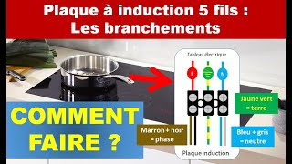 Comment brancher une plaque induction 5 fils [upl. by Leahcimrej80]