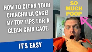 Chinchilla Cage Cleaning Tips How To Clean A Chinchilla Cage Its Easy [upl. by Otcefrep438]