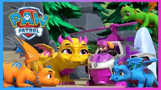 Pups Stop Humdinger’s Kitty Rescue Crew and More  PAW Patrol  Cartoons for Kids [upl. by Orips]