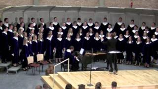 Luther Nordic Choir  Here I am Lord  arr Ovid Young [upl. by Ettenoitna]