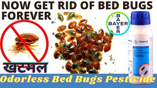 Bed bugs Treatment  खटमल ख़तम करने का सही तरीका  Khatmal control treatment  bed bugs control [upl. by Benco170]