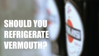 Should You Refrigerate Vermouth  Booze For Thought  Episode 1 [upl. by Winterbottom]