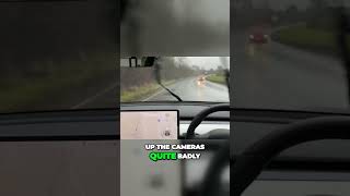 Unbelievable Tesla Autopilot Navigates Water amp Floods with Ease [upl. by Gatian]