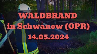 Waldbrand in Schwanow Feuer im Wald schnell unter Kontrolle [upl. by Tortosa449]