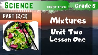 Science  Grade 5  Mixtures  Part 23  Unit Two  Lesson One [upl. by Kovacev457]