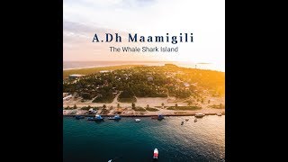 A Dh Maamigili  The Whale Shark island [upl. by Jacklyn98]