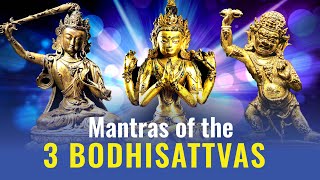 3 Mantras of the Three Great Bodhisattvas Manjushri Avalokiteshvara and Vajrapani in Sanskrit [upl. by Moonier]