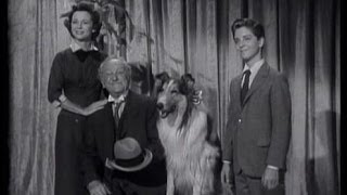 Lassie  Episode 84  quotLassies Vanityquot  Season 3 19 011357 [upl. by Nimocks]