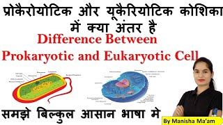 Difference between Prokaryotic and Eukaryotic Cells  Prokaryotic vs Eukaryotic Cells in hindi [upl. by Himelman]