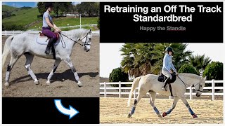 Retraining an Off The Track Standardbred  Happy the Standie [upl. by Odrarej893]