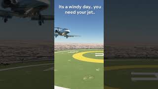 When its a windy day and you need your jet shorts flightsimulator [upl. by Reis745]