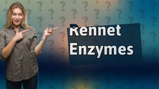 What does rennet do [upl. by Sandy]