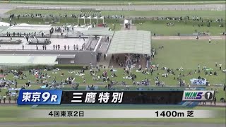 三鷹特別［2023108 東京第9R1400m 芝］ [upl. by Halda]