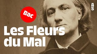 Les Fleurs du Mal Charles Baudelaire  Bac français 2024 [upl. by Geerts]