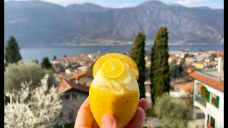 SORBETTO AL LIMONE lemon sorbet made in Italy  easy recipe amp amazingly refreshing [upl. by Yecak854]