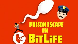 HOW TO ESCAPE EVERY PRISON IN BITLIFE EASIEST WAYS TO ESCAPE EVERY PRISON [upl. by Attegroeg]